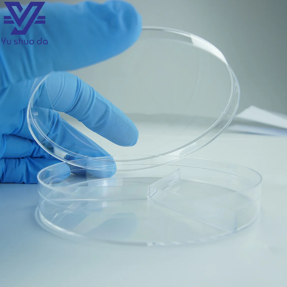 two compartment petri dish