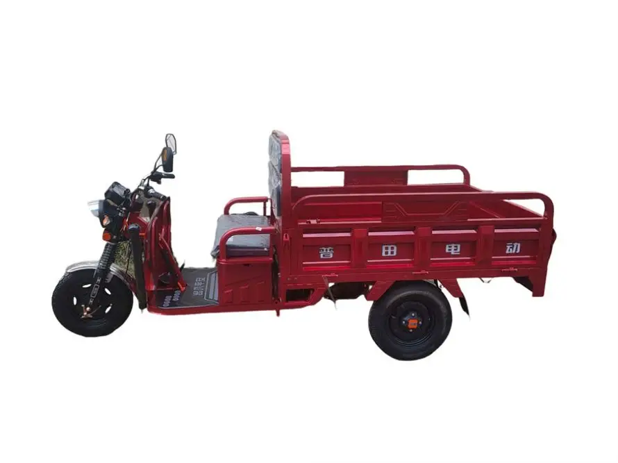 Vendita calda 900 kg ruote moto Trike con tetto in vendita