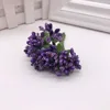Púrpura