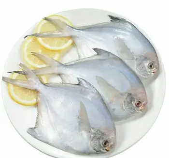 hight quality frozen chinese white pomfret gold pomfret made by