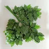 verde 1
