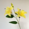 สีเหลือง