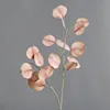 Rosa chiaro