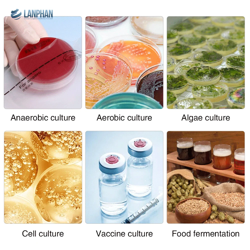 5L 10L 20L Laboratory Fermentor  E. Coli, Aerobic Bacteria, Anaerobic Bacteria Bioreactor