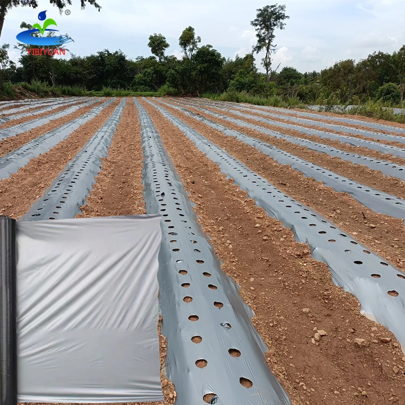 800m² Telo protettivo per terreno, Pellicola antierbacce