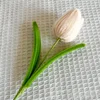 #5 white tulip