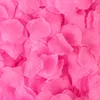 Rosa caldo