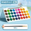 Solid Watercolor Paints - 36 Colors + One Brush