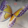 Colorato 13
