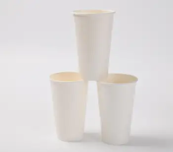 Disposable Plastic Smoothie Cups 12OZ With Lids