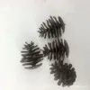 Versión ponderada de 6×4 cm