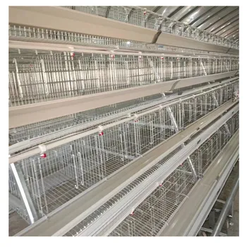 Poultry Layer Farm Equipment 4 Tiers A Type Automatic Battery Layer Chicken Egg Laying Hens Cage
