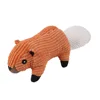 B16211 orange