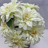 Bianco crema