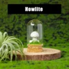 Howlite