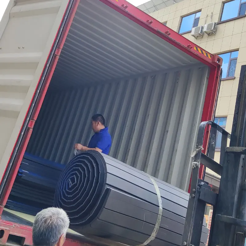 Bjj Tatami Roll Out Mats Mma Wrestling Mats Martial Arts Judo Rollout