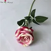 สีขาวและสีม่วง