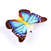 Mariposa