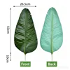 Travelers palm-dark color-medium leaves