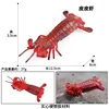 colorato M-2608 Gambero rosso