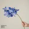 Tallo único de orquídea azul Vanda