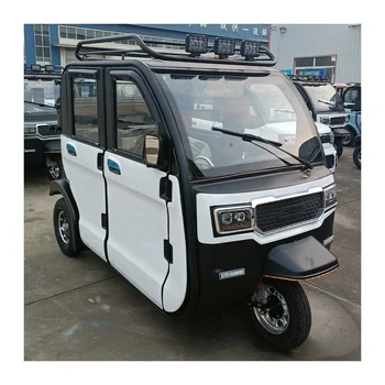 One Piece Enclosed Cargo Electric Tricycles With Three Tires / Hot Selling Three Wheeler Mobility 3 Passenger Electric Tricycle