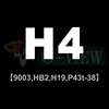 H4/H19