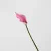 Rose - 63CM