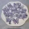 Ash purple-card 44*45mm
