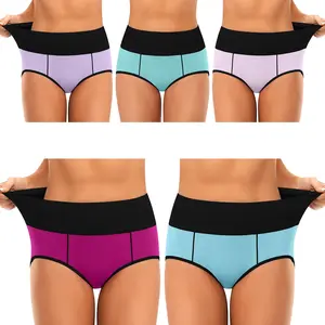 Western High Waist Cotton Panties Tangas Full Cover Woman Underwear for Wholesale