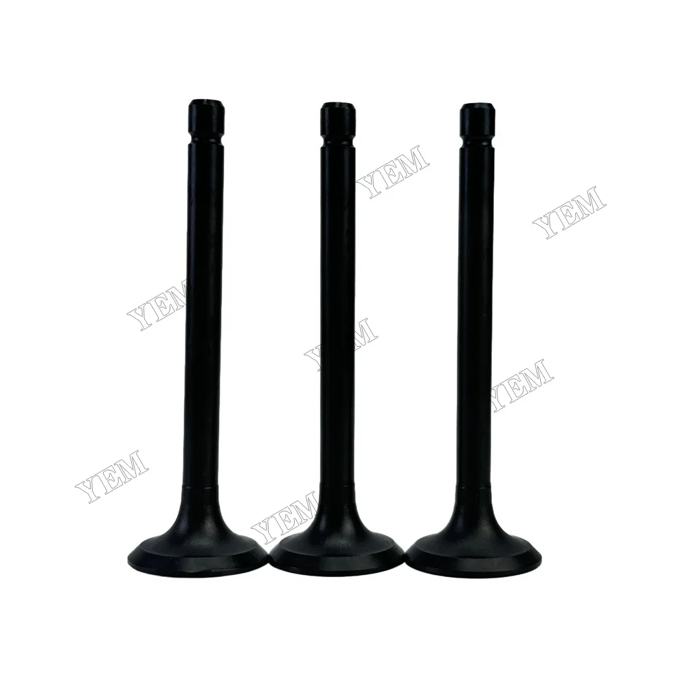 Intake Valve 120176250 Fit for Perkins 403D-11 Engine 3