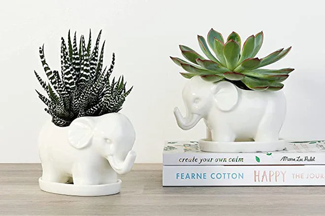 Dropshipping Succulent Pots Elephant Flower Pots Ceramic Succulent Planter  Plant Window Boxes for Indoor Outdoor Cactus