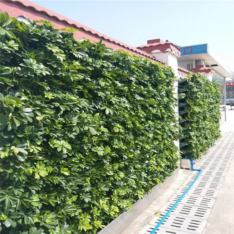 Productos De Venta Caliente Artificial De Plástico De Pared De Plantas Para  Vivir Las Paredes Al Aire Libre - Buy Plantas Para Paredes Al Aire Libre  Product on Alibaba.com