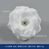 6cm rose, pure white