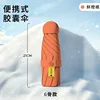 Fresh Orange