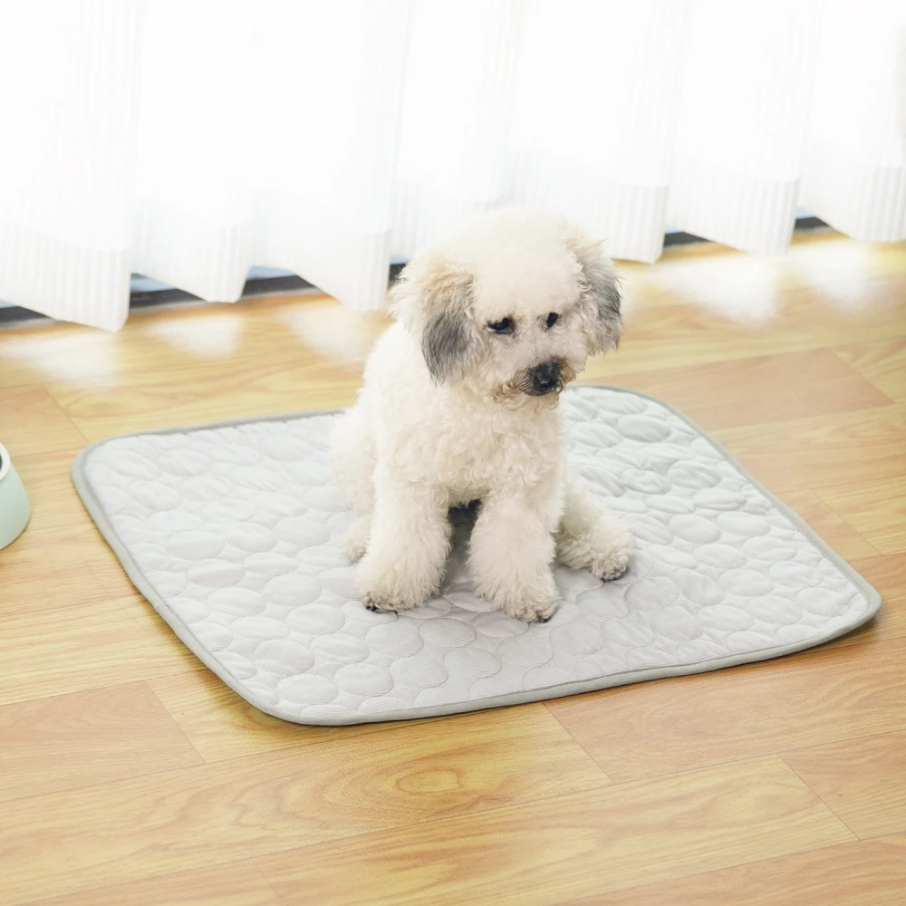 Wholesale Summer Cool Pet Pad Puppy Training Pee Pads for Dogs factory