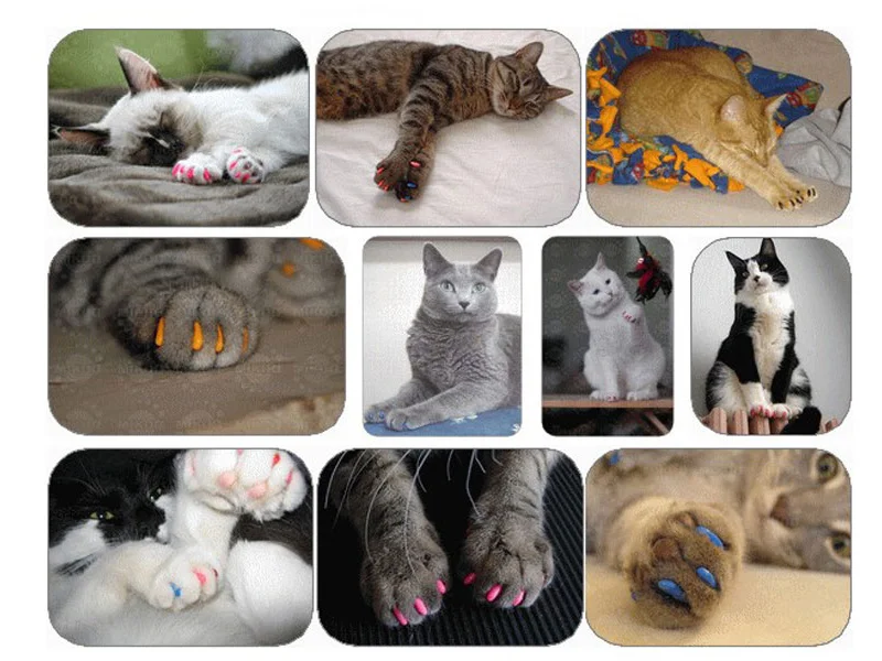 New FASHION colorful Cat Nail cover soft cat Claw Soft Paws 20 PCS/lot with free Adhesive Glue Size XS S M LGift for pet