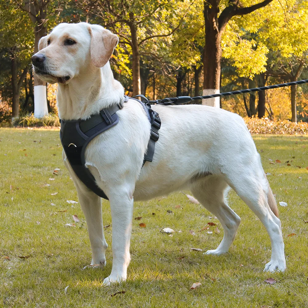 Dog Traction Rope Vest Pet Chest Strap Anti-breakaway Large Dog Chest Strap Reflective Dog Walking Rope