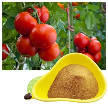 AGRICULTURE ORGANIC FERTILIZER EDTA FE POWDER FERTILIZER for TOMATO