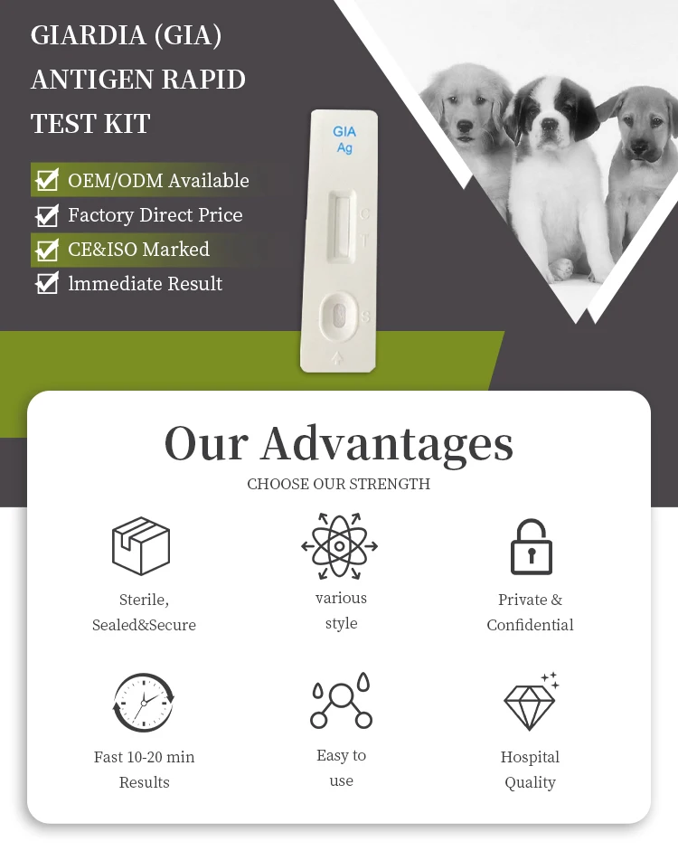 Giardia (gia) Antigen Rapid Test Kit For The Qualitative Detection Of Giardia Antigen In Canine