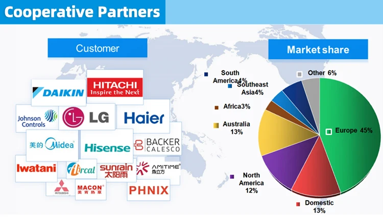 Company overview