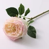 ชมพูอ่อน