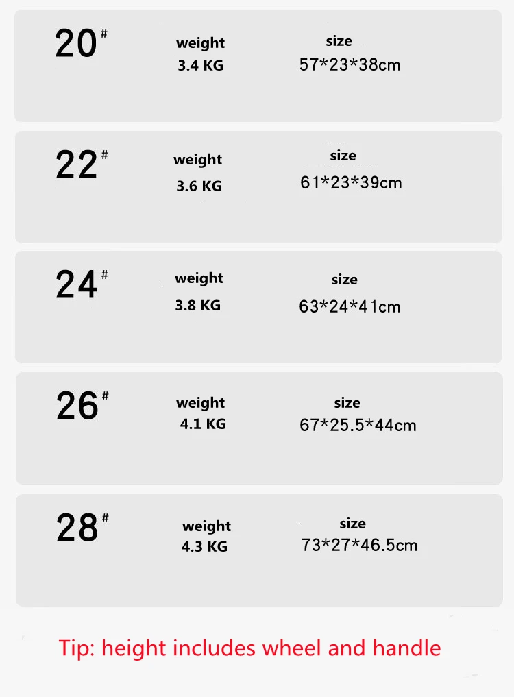 -12_.jpg