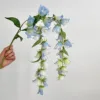Campanula Blu