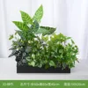 Bambú verde [Adecuado para jardineras de 60 cm]