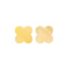 Guscio giallo