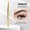 Peafowl clip