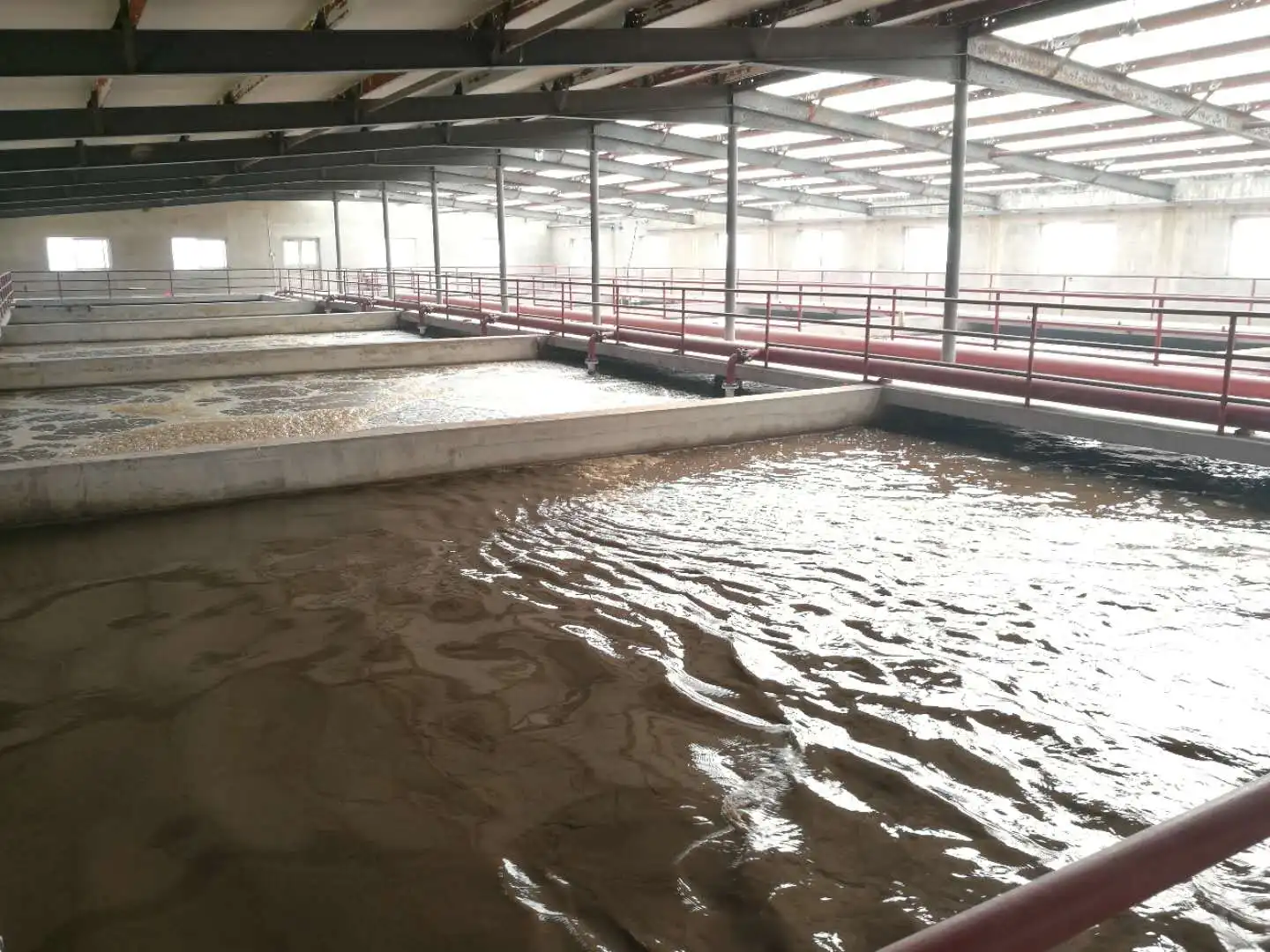 Polyacrylamide for Vegetable Oil Refining Wastewater: Flocculate Soapstock and Impurities, Polyacrylamide