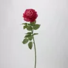 Lilian Rose (Rose rouge)