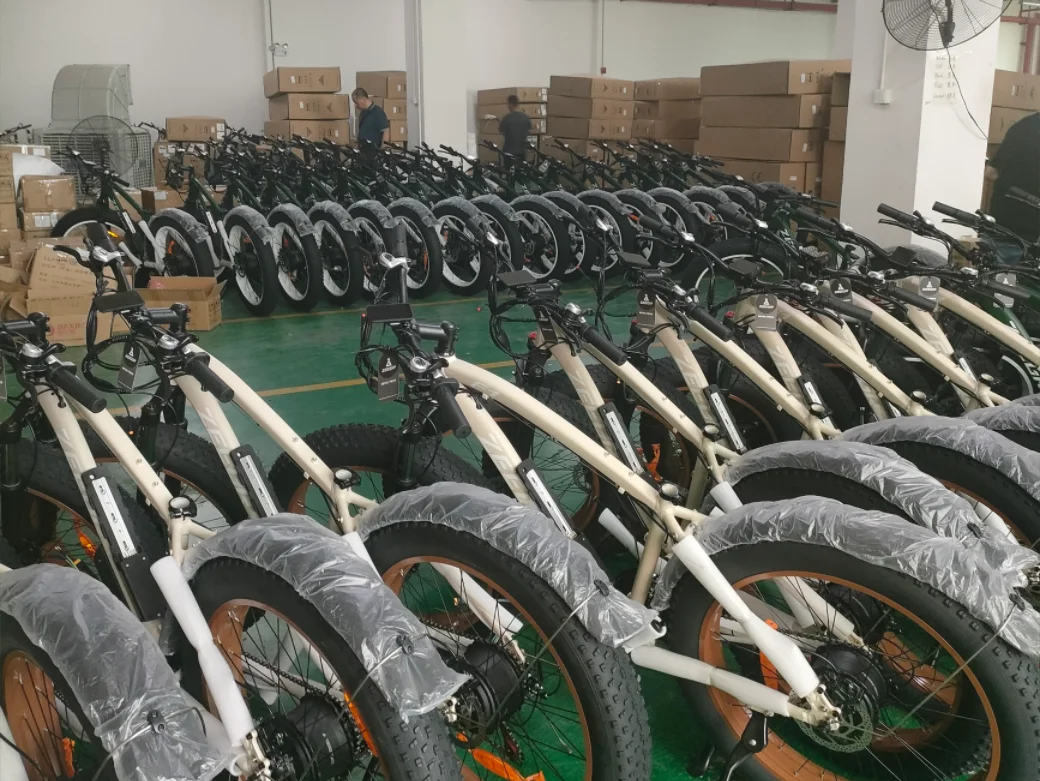 Huizhou Evic Electronic Co., Ltd. 2